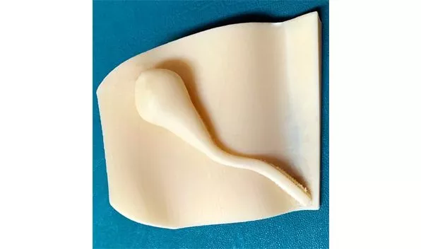 Имитация человеческих органов с помощью 3D‑печати