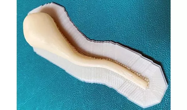 Имитация человеческих органов с помощью 3D‑печати