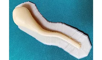 Имитация человеческих органов с помощью 3D‑печати